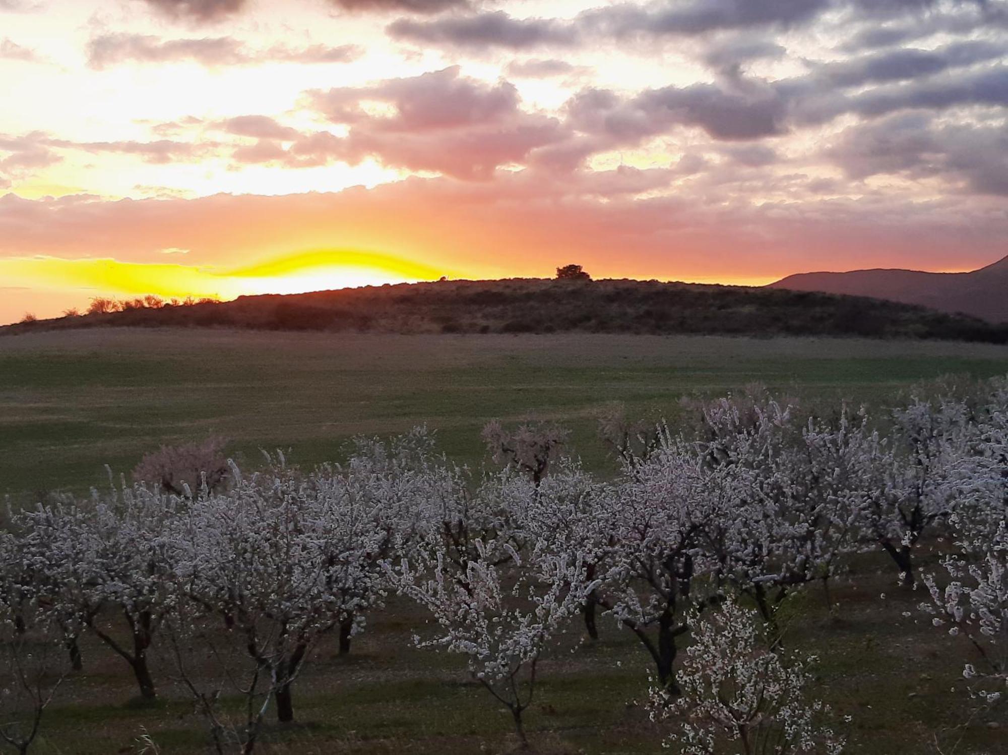 Hotel Rural Flor De Almendro Loarre Kültér fotó